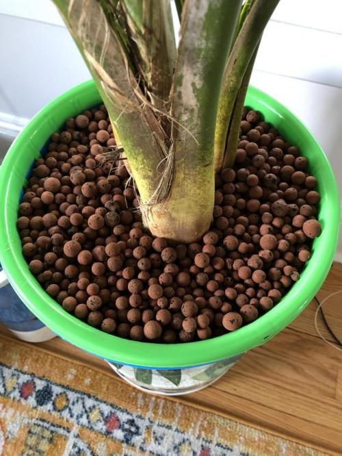 media grow